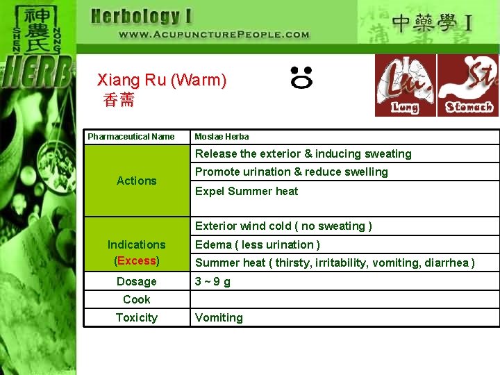 Xiang Ru (Warm) 香薷 Pharmaceutical Name Moslae Herba Release the exterior & inducing sweating