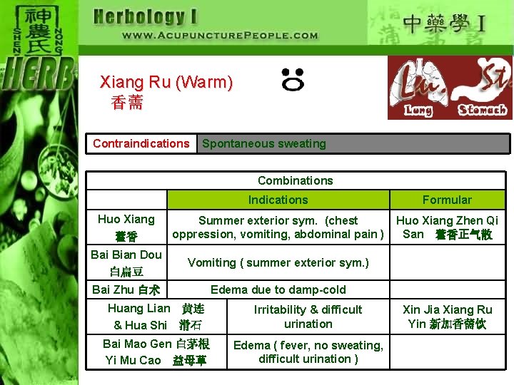 Xiang Ru (Warm) 香薷 Contraindications Spontaneous sweating Combinations Indications Formular Huo Xiang 藿香 Summer