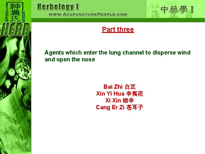 Part three Agents which enter the lung channel to disperse wind and open the