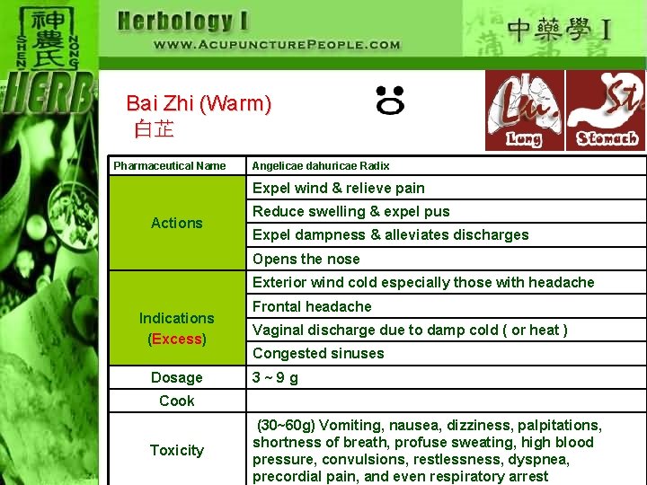 Bai Zhi (Warm) 白芷 Pharmaceutical Name Angelicae dahuricae Radix Expel wind & relieve pain