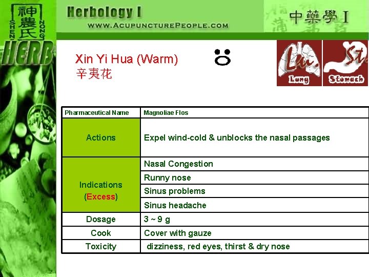 Xin Yi Hua (Warm) 辛夷花 Pharmaceutical Name Actions Magnoliae Flos Expel wind-cold & unblocks