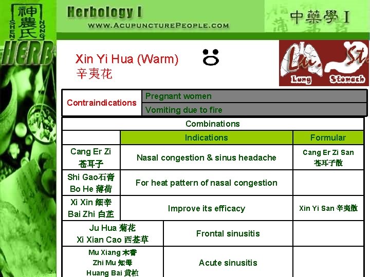 Xin Yi Hua (Warm) 辛夷花 Contraindications Pregnant women Vomiting due to fire Combinations Indications