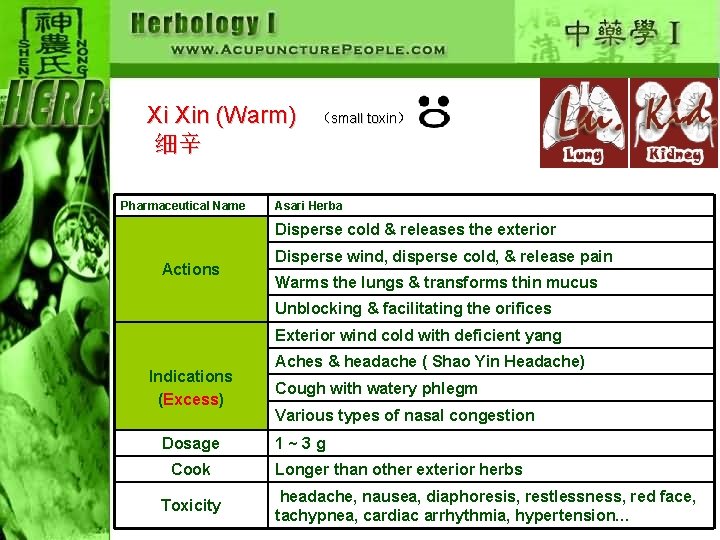 Xi Xin (Warm) 细辛 Pharmaceutical Name （small toxin） Asari Herba Disperse cold & releases