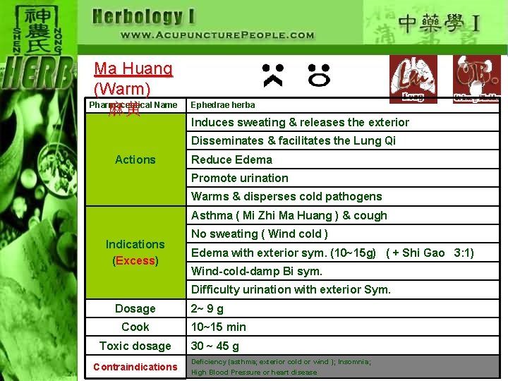 Ma Huang (Warm) Pharmaceutical Name 麻黄 Ephedrae herba Induces sweating & releases the exterior