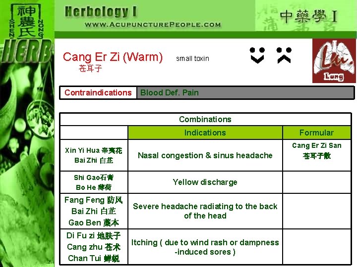 Cang Er Zi (Warm) small toxin 苍耳子 Contraindications Blood Def. Pain Combinations Indications Formular