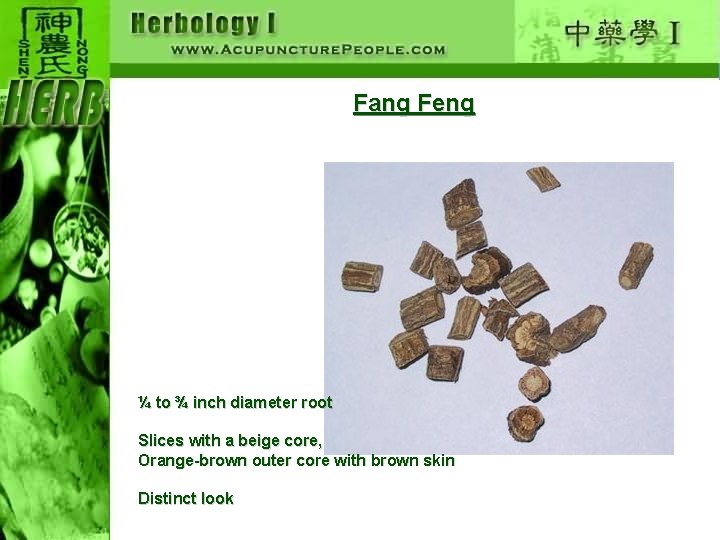 Fang Feng ¼ to ¾ inch diameter root Slices with a beige core, Orange-brown