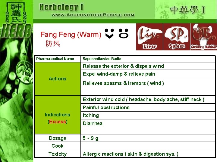 Fang Feng (Warm) 　防风 Pharmaceutical Name Saposhnikoviae Radix Release the exterior & dispels wind