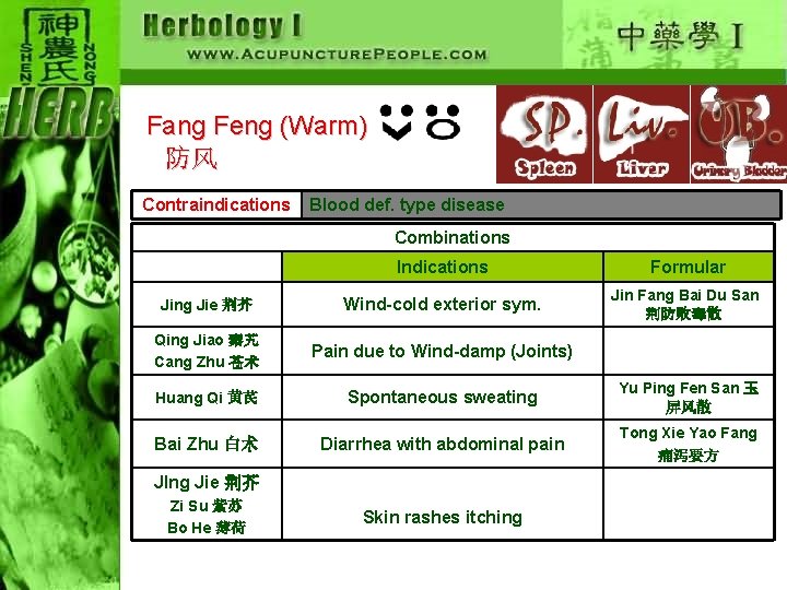 Fang Feng (Warm) 　防风 Contraindications Blood def. type disease Combinations Indications Formular Jing Jie