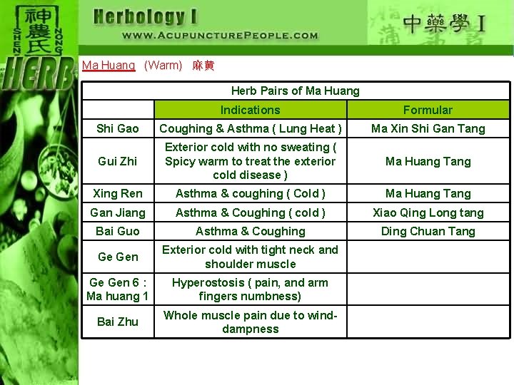 Ma Huang (Warm) 麻黄 Herb Pairs of Ma Huang Indications Formular Shi Gao Coughing