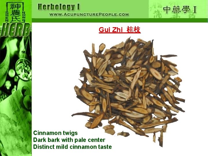 Gui Zhi 桂枝 Cinnamon twigs Dark bark with pale center Distinct mild cinnamon taste