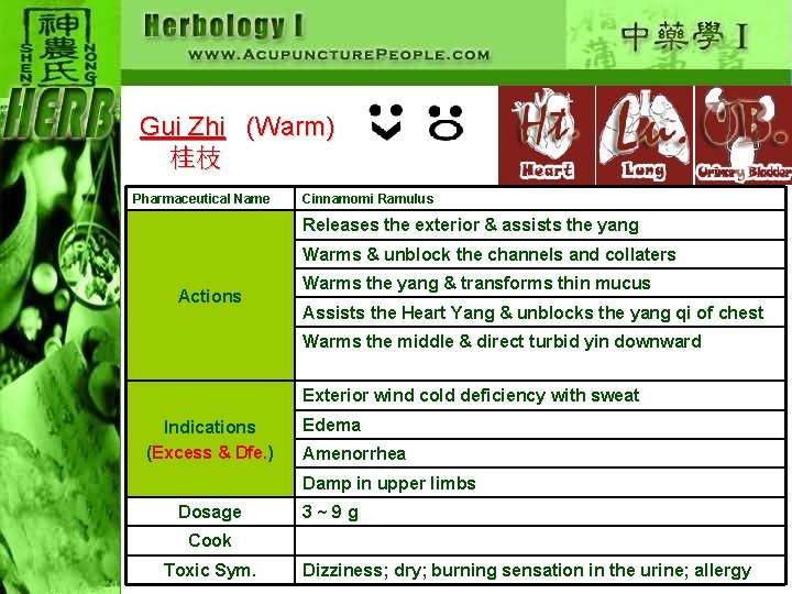 Gui Zhi (Warm) 桂枝 Pharmaceutical Name Cinnamomi Ramulus Releases the exterior & assists the