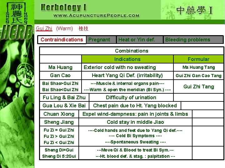 Gui Zhi (Warm) 桂枝 Contraindications Pregnant Heat or Yin def. Bleeding problems Combinations Indications