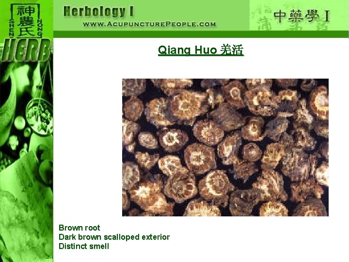 Qiang Huo 羌活 Brown root Dark brown scalloped exterior Distinct smell 