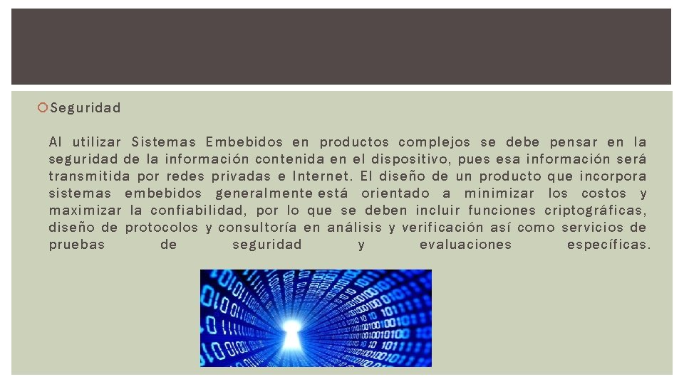  Seguridad Al utilizar Sistemas Embebidos en productos complejos se debe pensar en la