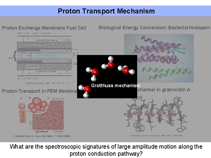 Proton Transport Mechanism Proton Exchange Membrane Fuel Cell Proton Transport in PEM Membrane Biological