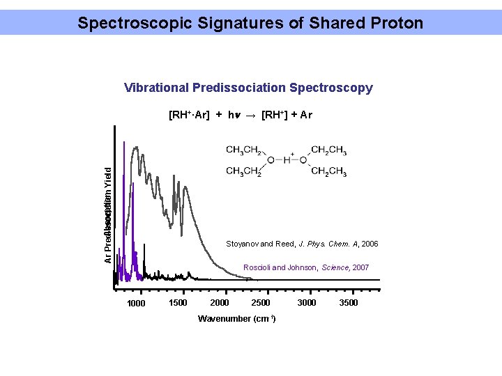 Spectroscopic Signatures of Shared Proton Vibrational Predissociation Spectroscopy Absorption Yield Ar Predissociation [RH+·Ar] +