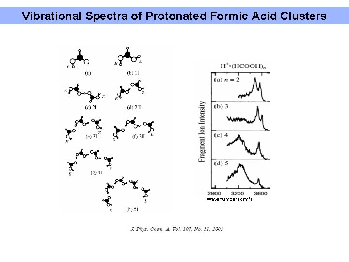 Vibrational Spectra of Protonated Formic Acid Clusters Wavenumber (cm-1) 