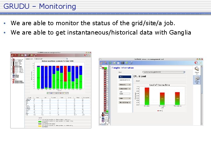 GRUDU – Monitoring • We are able to monitor the status of the grid/site/a