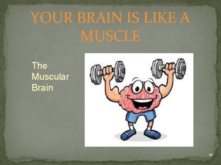 YOUR BRAIN IS LIKE A MUSCLE The Muscular Brain 11 