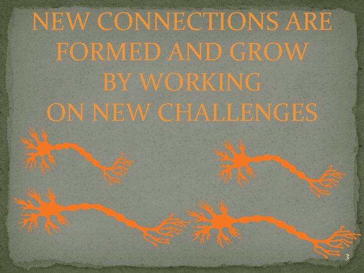 NEW CONNECTIONS ARE FORMED AND GROW BY WORKING ON NEW CHALLENGES 3 