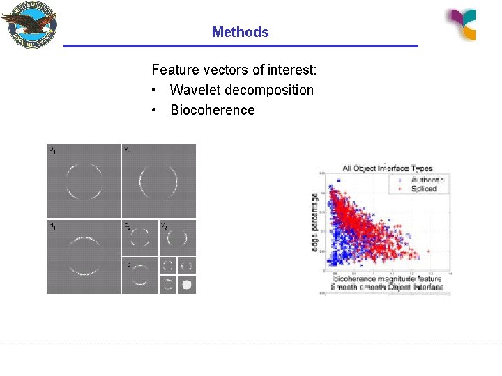 Methods Feature vectors of interest: • Wavelet decomposition • Biocoherence 