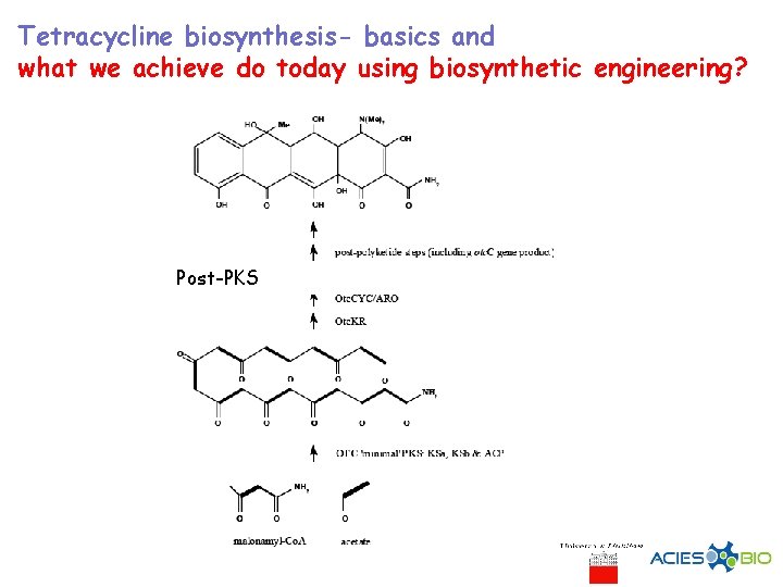 Tetracycline biosynthesis- basics and what we achieve do today using biosynthetic engineering? Post-PKS 
