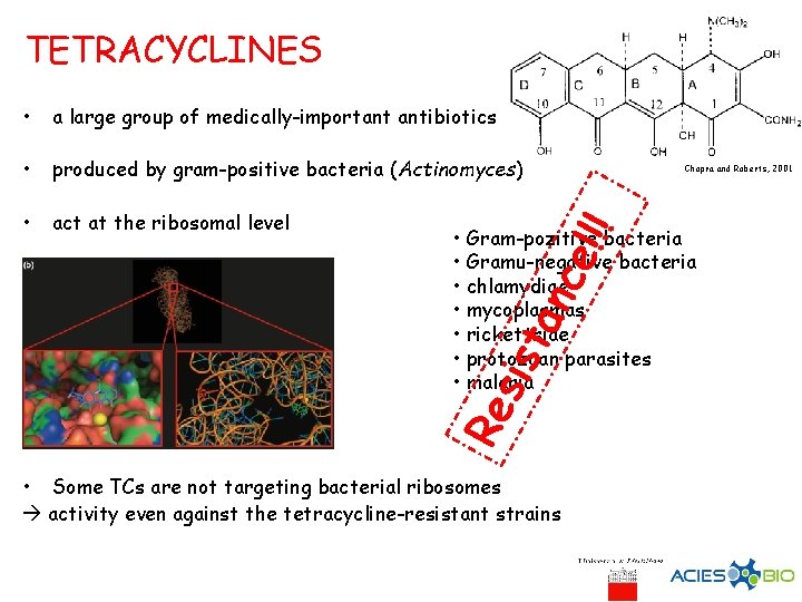 TETRACYCLINES • a large group of medically-important antibiotics • produced by gram-positive bacteria (Actinomyces)