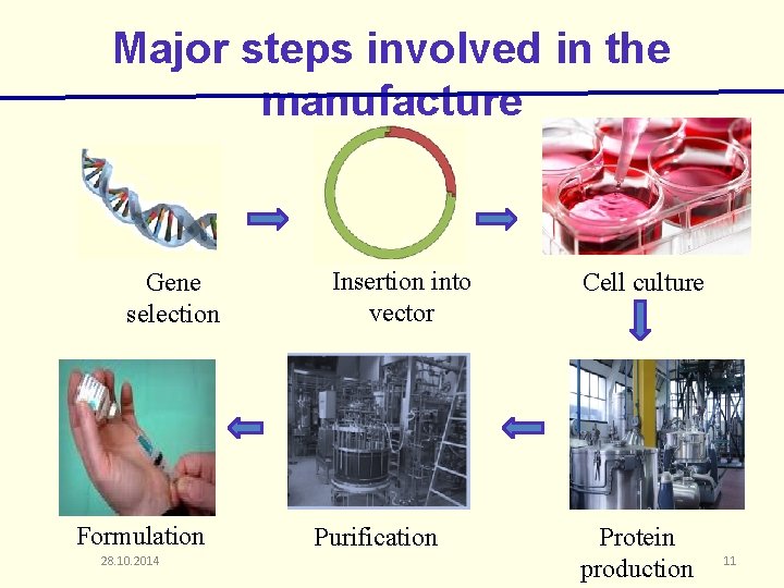 Major steps involved in the manufacture Gene selection Formulation 28. 10. 2014 Insertion into