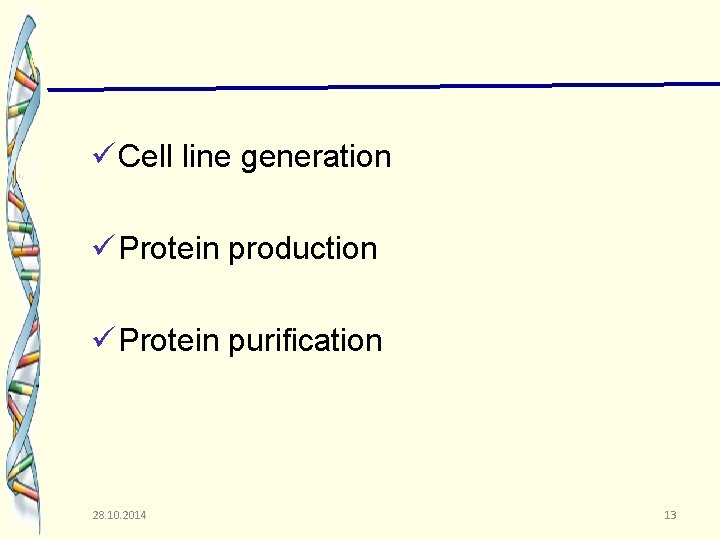 ü Cell line generation ü Protein production ü Protein purification 28. 10. 2014 13
