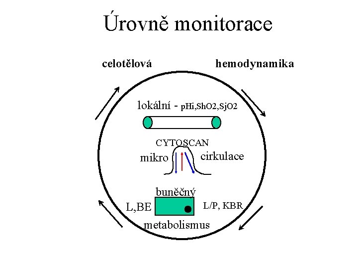 Úrovně monitorace celotělová hemodynamika lokální - p. Hi, Sh. O 2, Sj. O 2