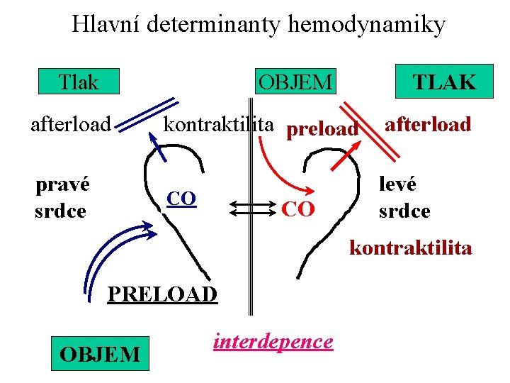 Hlavní determinanty hemodynamiky Tlak OBJEM afterload pravé srdce TLAK kontraktilita preload afterload CO levé