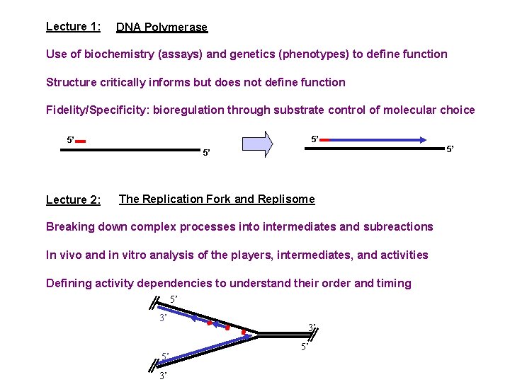 lecture 1 dna polymerase use of biochemistry assays