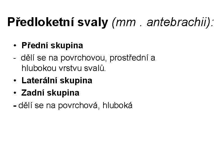 Předloketní svaly (mm. antebrachii): • Přední skupina - dělí se na povrchovou, prostřední a