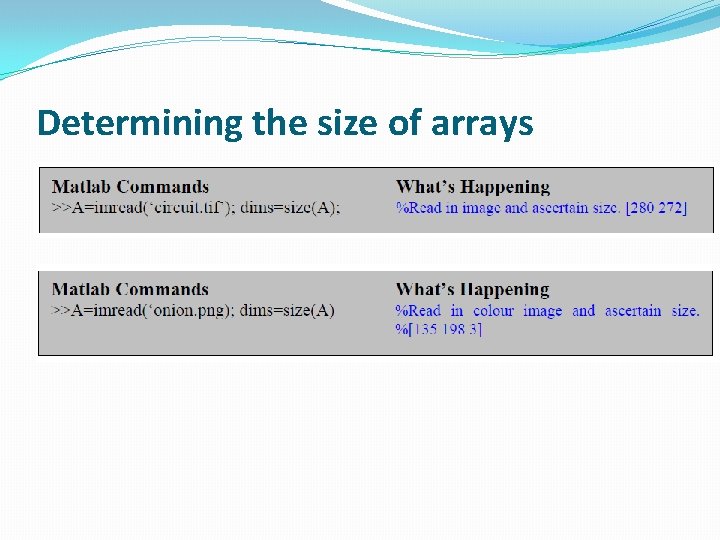 Determining the size of arrays 