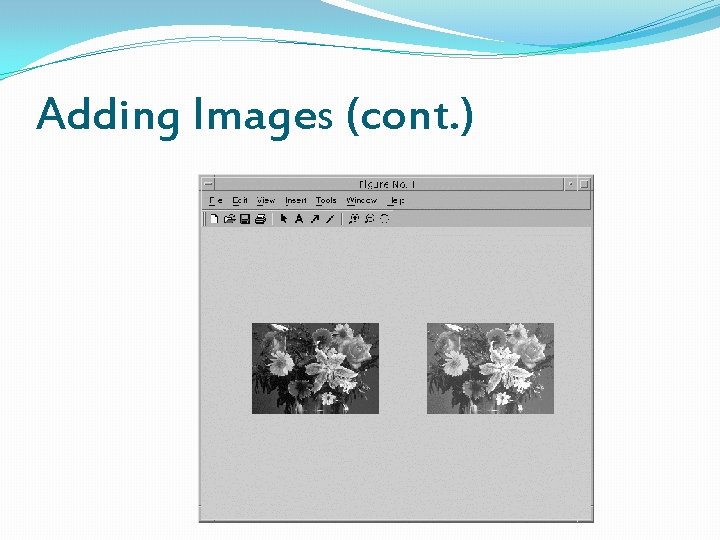 Adding Images (cont. ) 