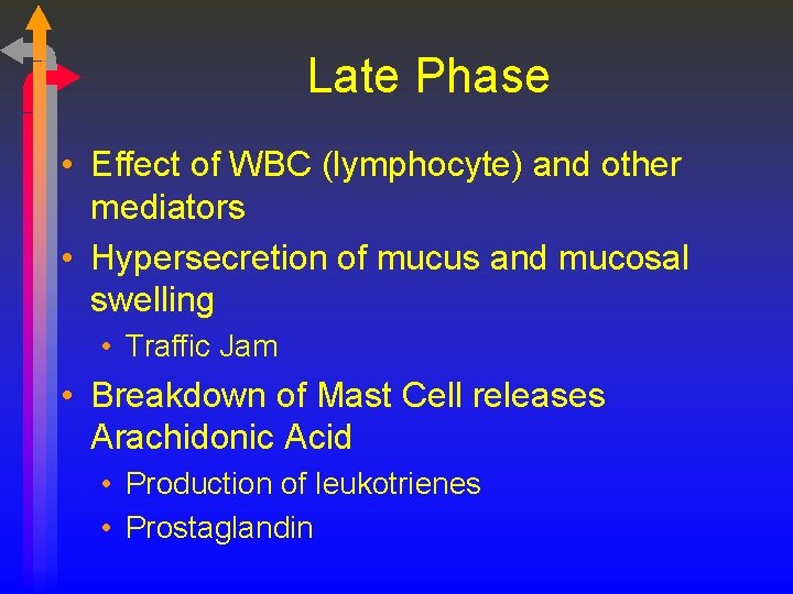 Late Phase • Effect of WBC (lymphocyte) and other mediators • Hypersecretion of mucus