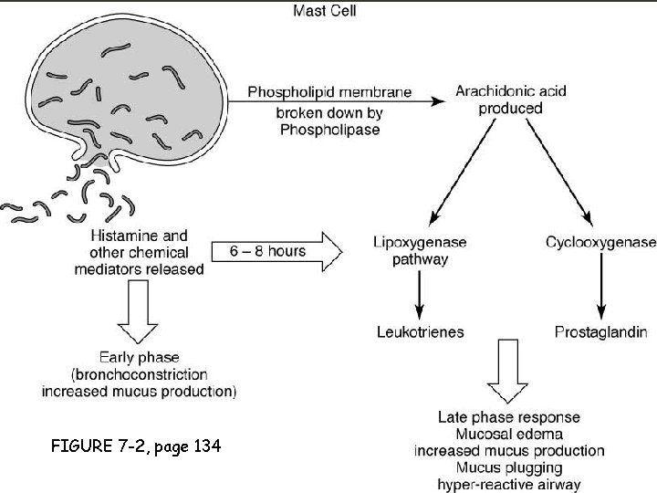 FIGURE 7 -2, page 134 