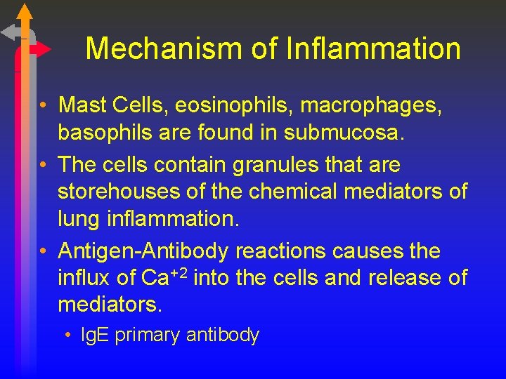 Mechanism of Inflammation • Mast Cells, eosinophils, macrophages, basophils are found in submucosa. •