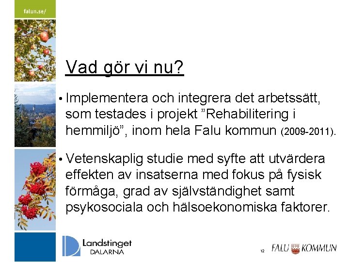 Vad gör vi nu? • Implementera och integrera det arbetssätt, som testades i projekt