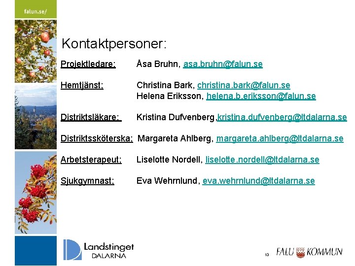 Kontaktpersoner: Projektledare; Åsa Bruhn, asa. bruhn@falun. se Hemtjänst; Christina Bark, christina. bark@falun. se Helena