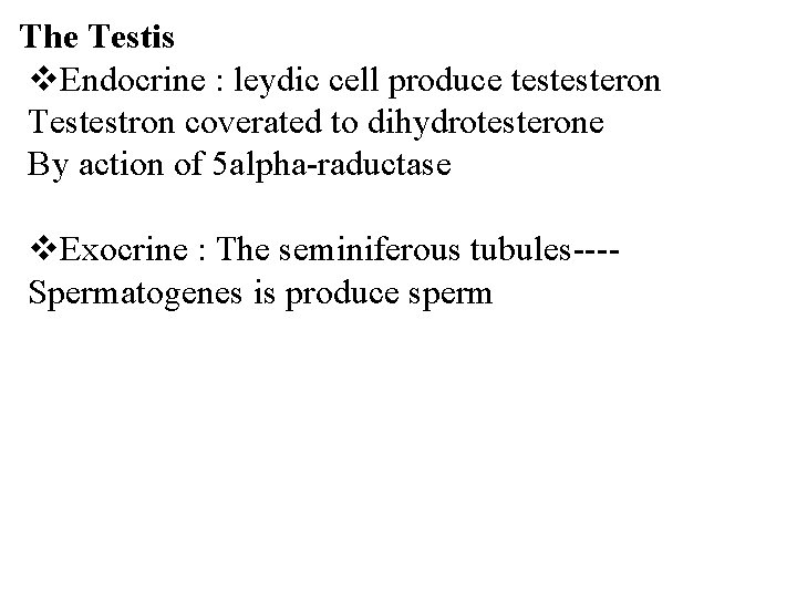 The Testis v. Endocrine : leydic cell produce testesteron Testestron coverated to dihydrotesterone By