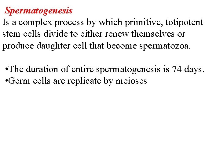 Spermatogenesis Is a complex process by which primitive, totipotent stem cells divide to either