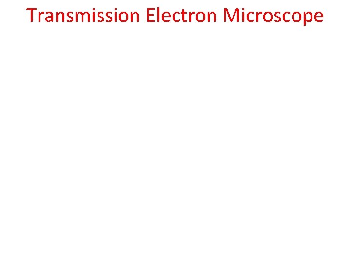 Transmission Electron Microscope 