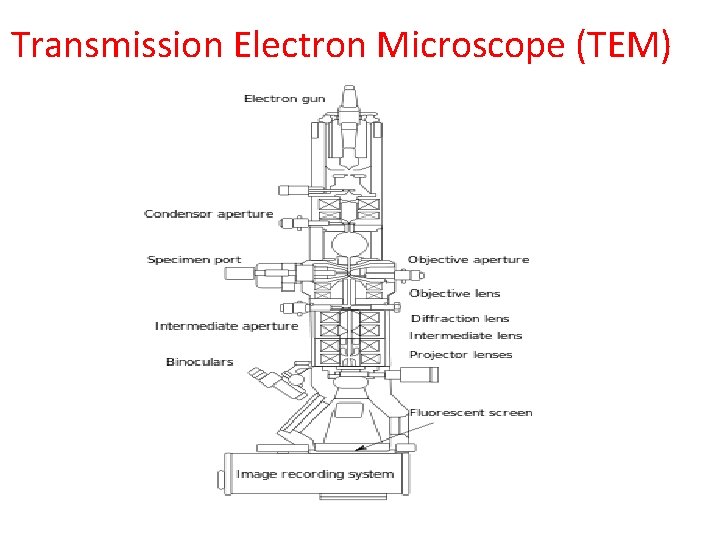 Transmission Electron Microscope (TEM) 