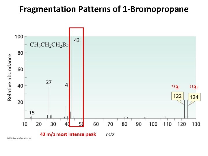 Fragmentation Patterns of 1 -Bromopropane 79 Br 43 m/z most intense peak 81 Br