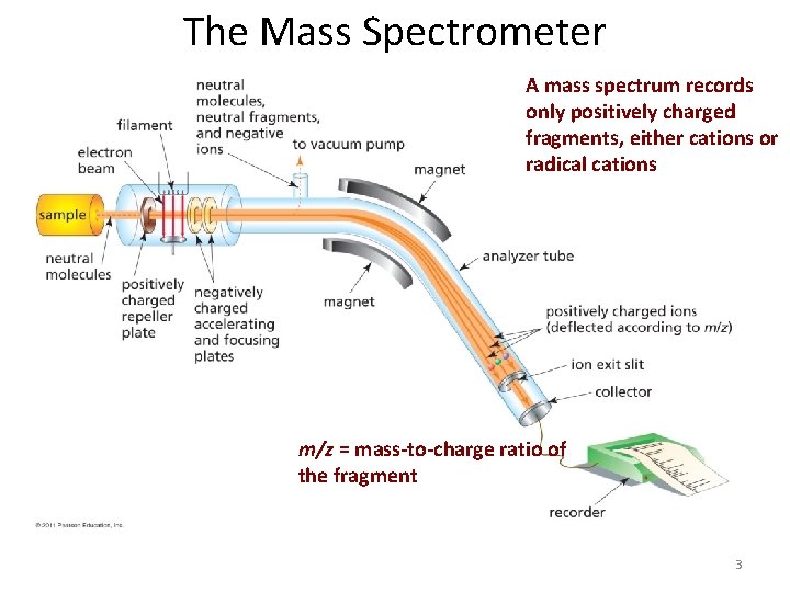 The Mass Spectrometer A mass spectrum records only positively charged fragments, either cations or