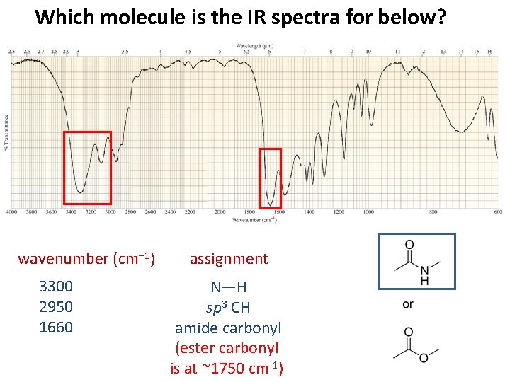Which molecule is the IR spectra for below? wavenumber (cm– 1) 3300 2950 1660