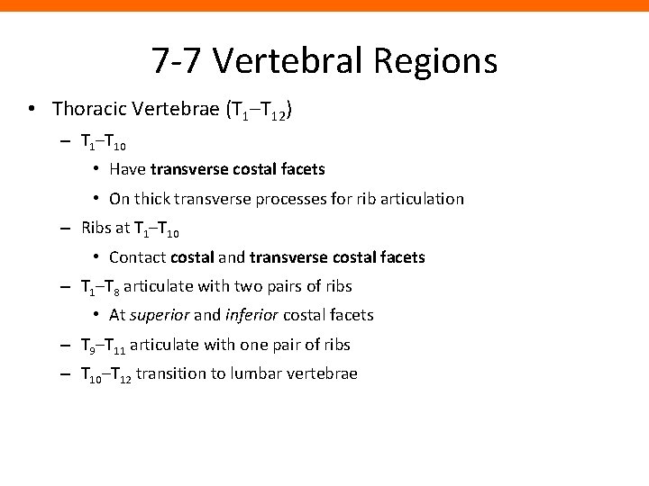 7 -7 Vertebral Regions • Thoracic Vertebrae (T 1–T 12) – T 1–T 10