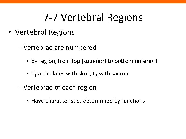 7 -7 Vertebral Regions • Vertebral Regions – Vertebrae are numbered • By region,