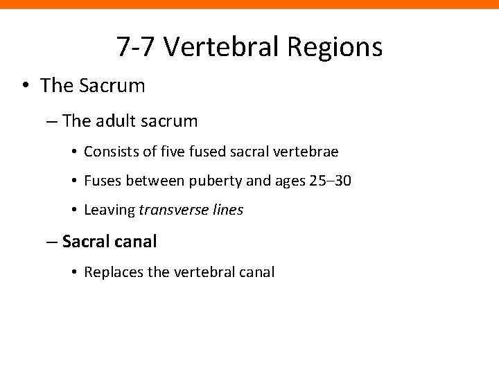 7 -7 Vertebral Regions • The Sacrum – The adult sacrum • Consists of